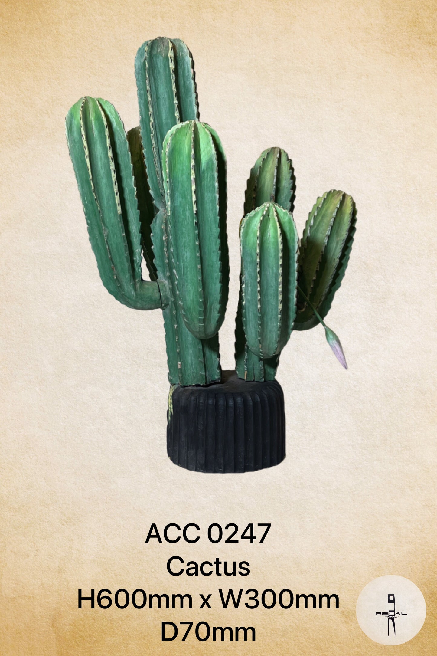 Cactus