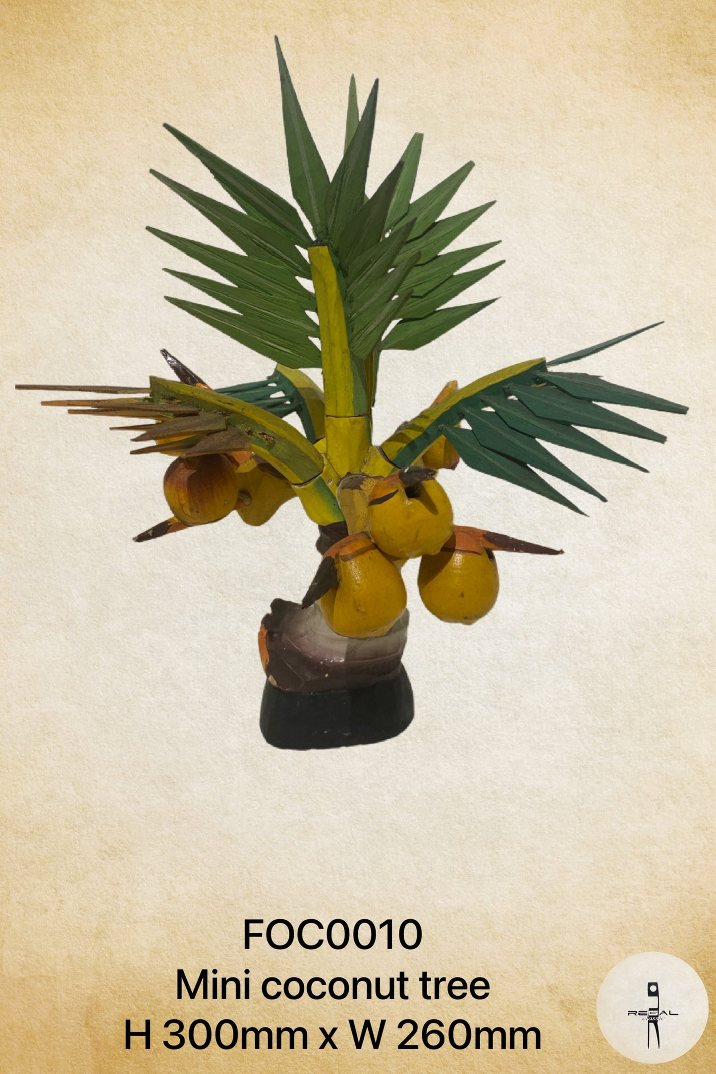 Mini Coconut Tree