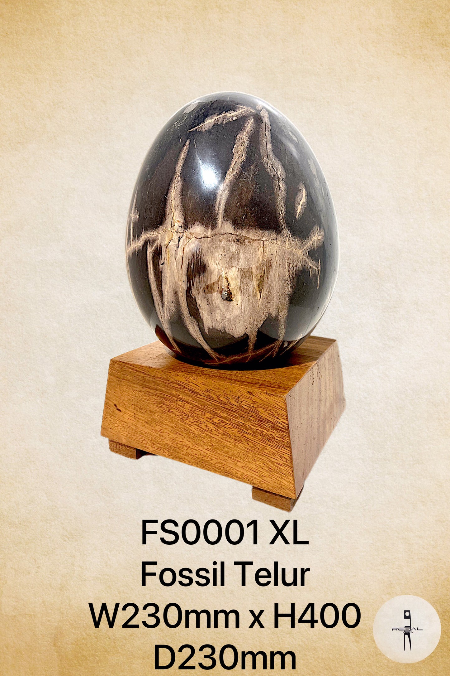 Fossil Telur XL