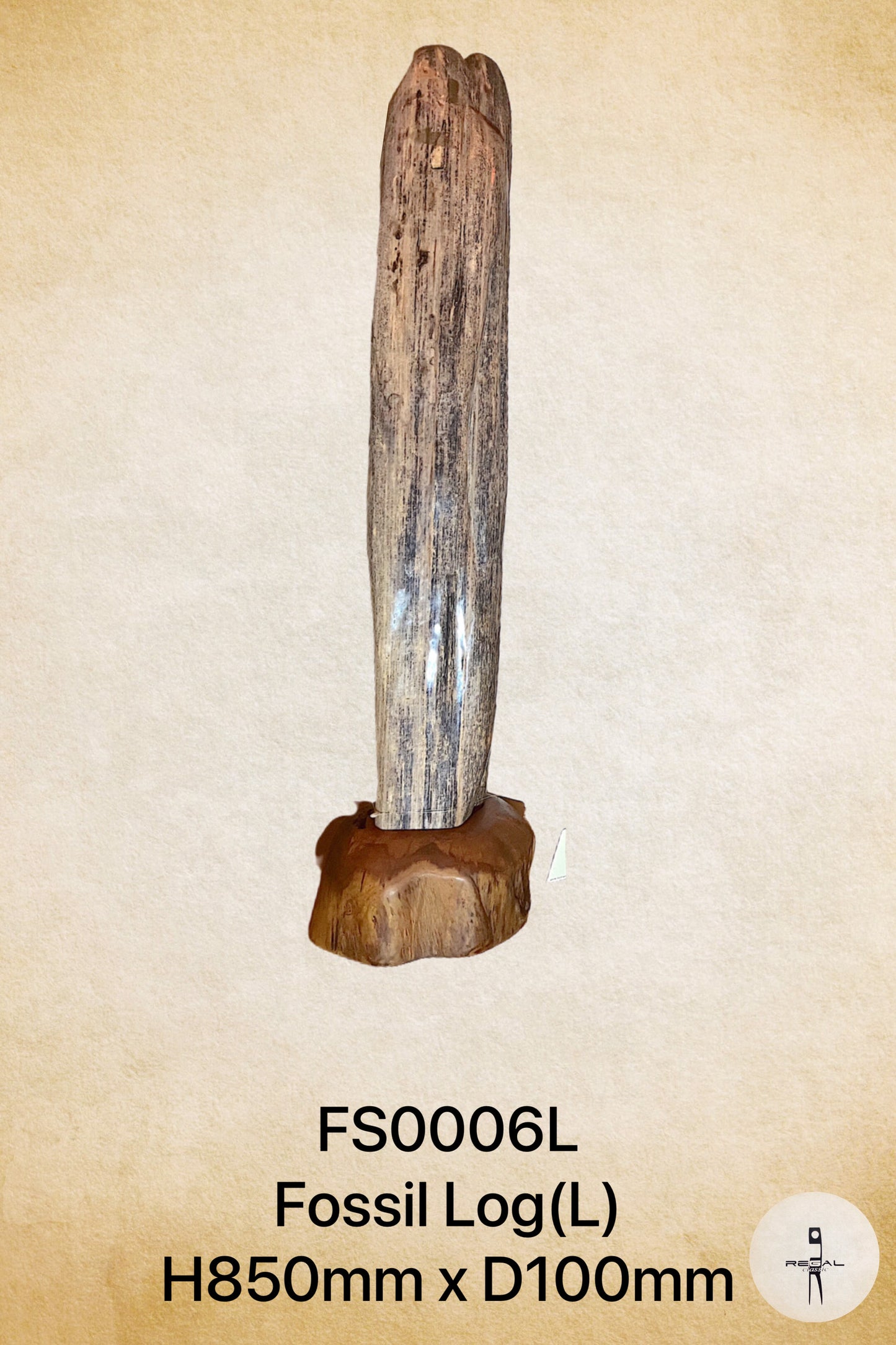 Fossil Log L