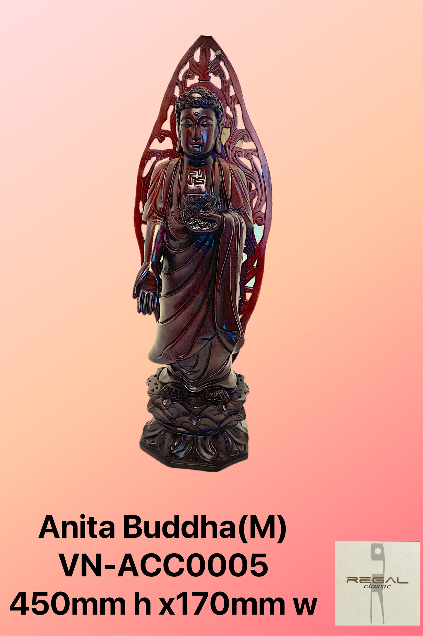 Anita Buddha M