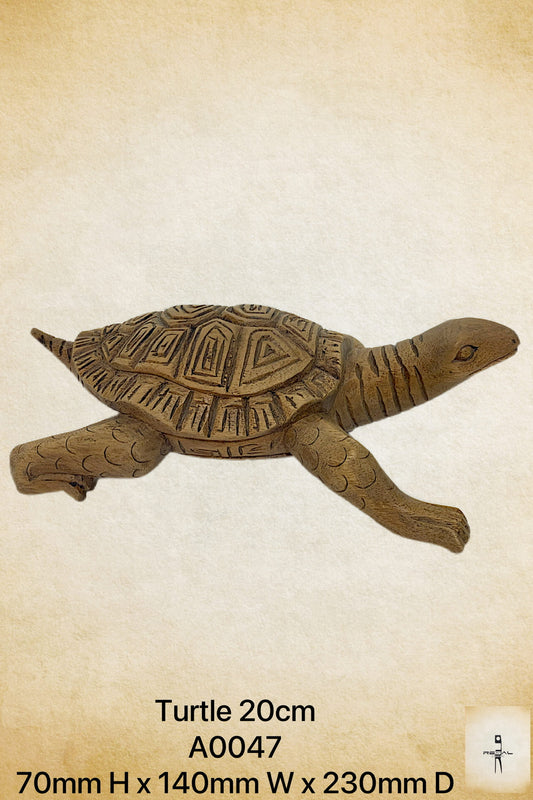 Turtle 20cm 2