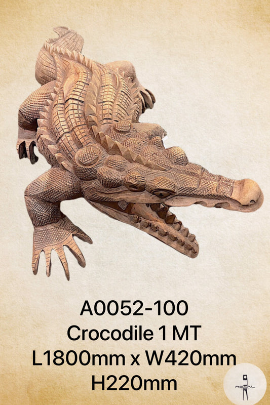 Crocodiles 1 MT