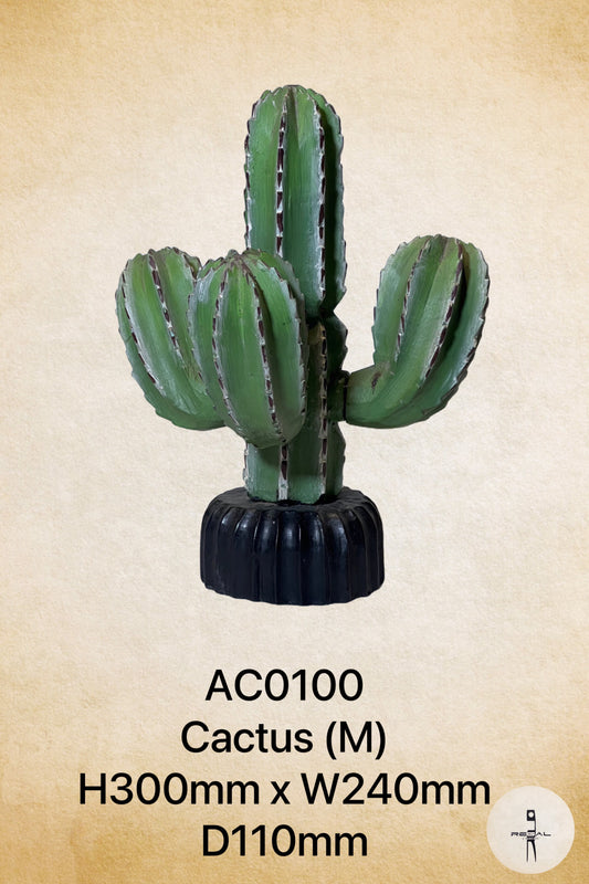 Cactus (M)