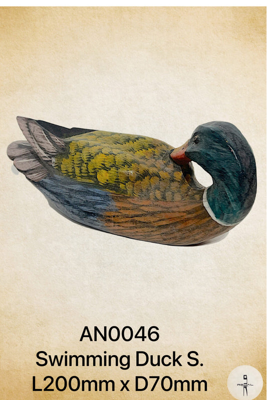 Swimming Duck S