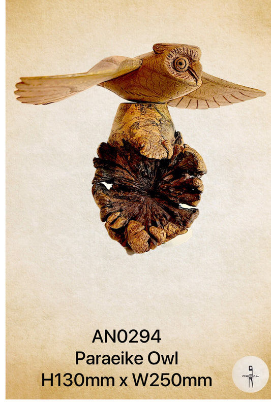 Paraeike Owl