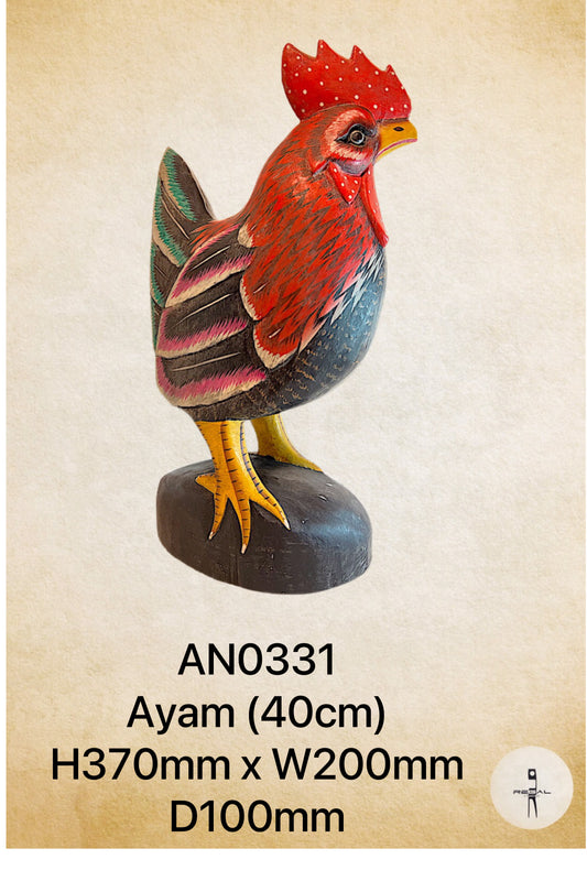 Ayam 40cm
