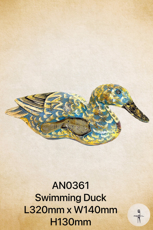 Swimming Duck