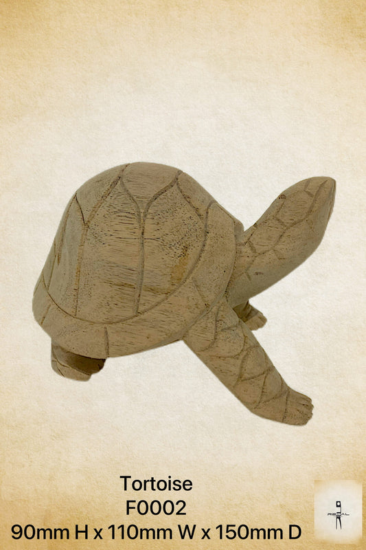 Tortoise 2