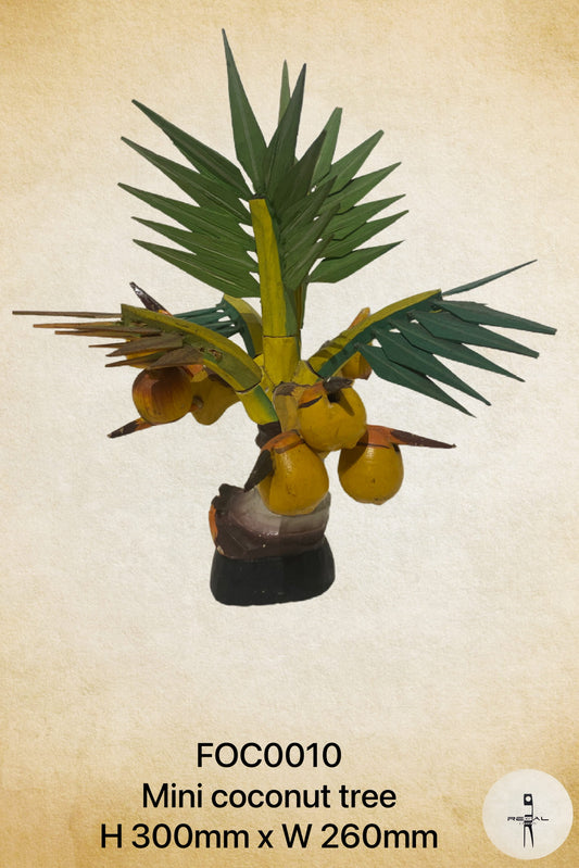 Mini Coconut Tree