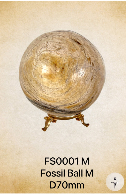 Fossil Ball M