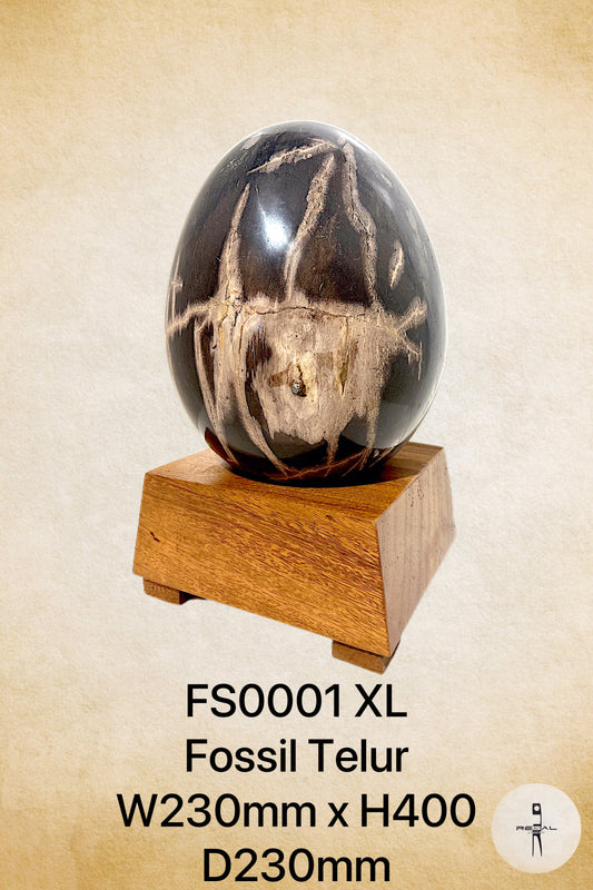 Fossil Telur XL