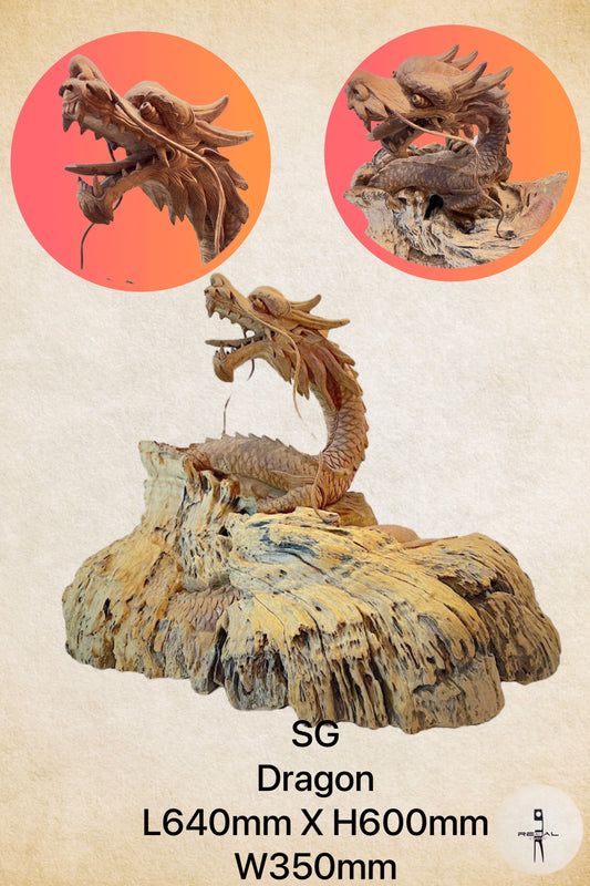 SG Dragon