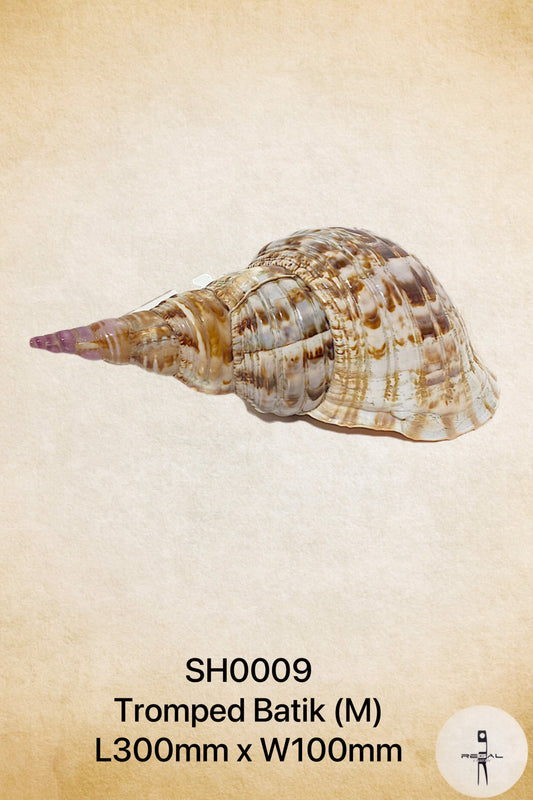 Tromped Batik M