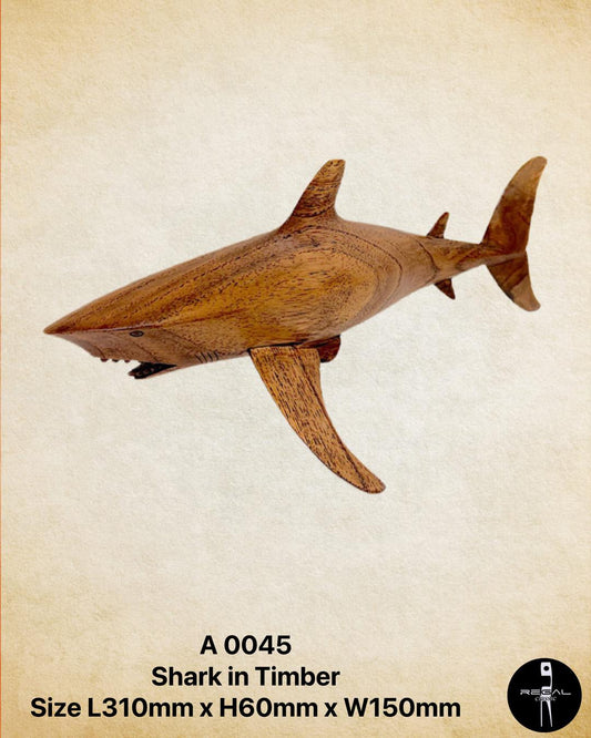 Shark in Timber